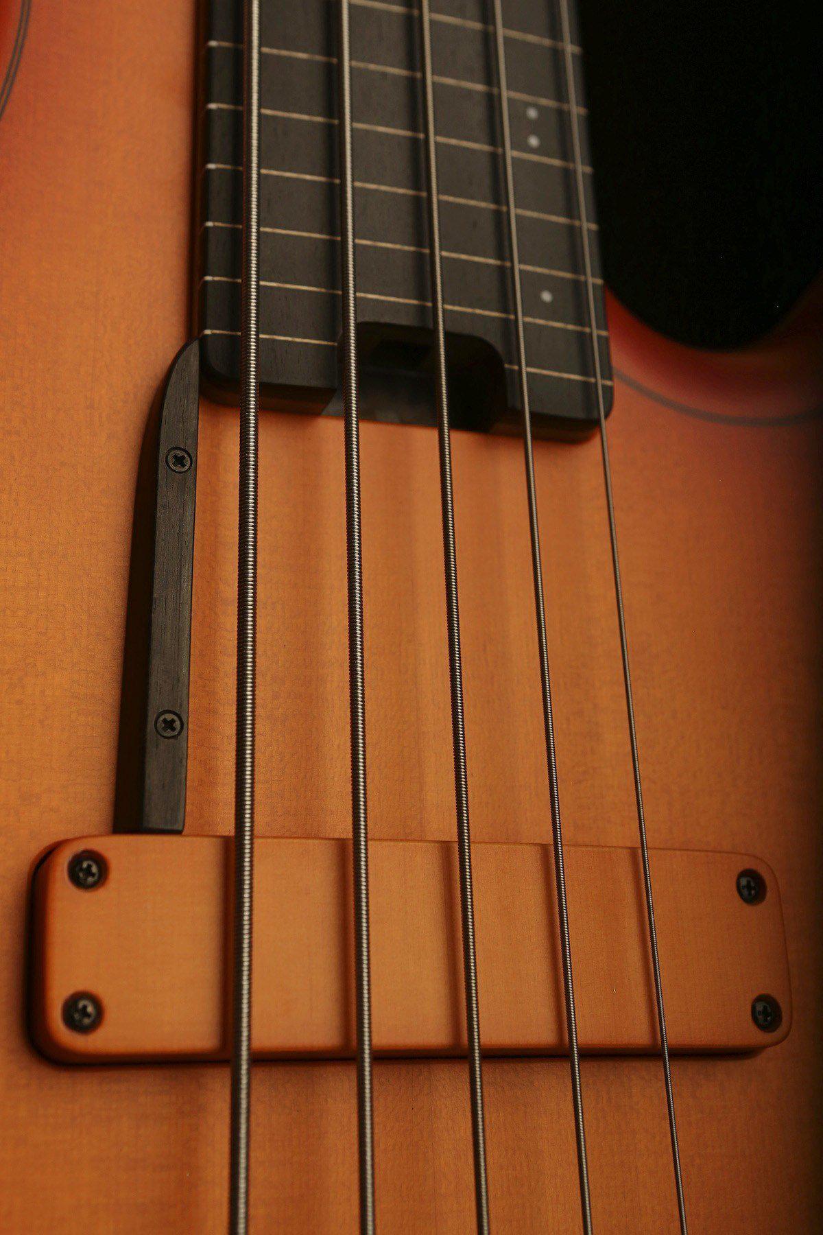 F Bass AC5 Fretless - Bass Centre Music Store Melbourne