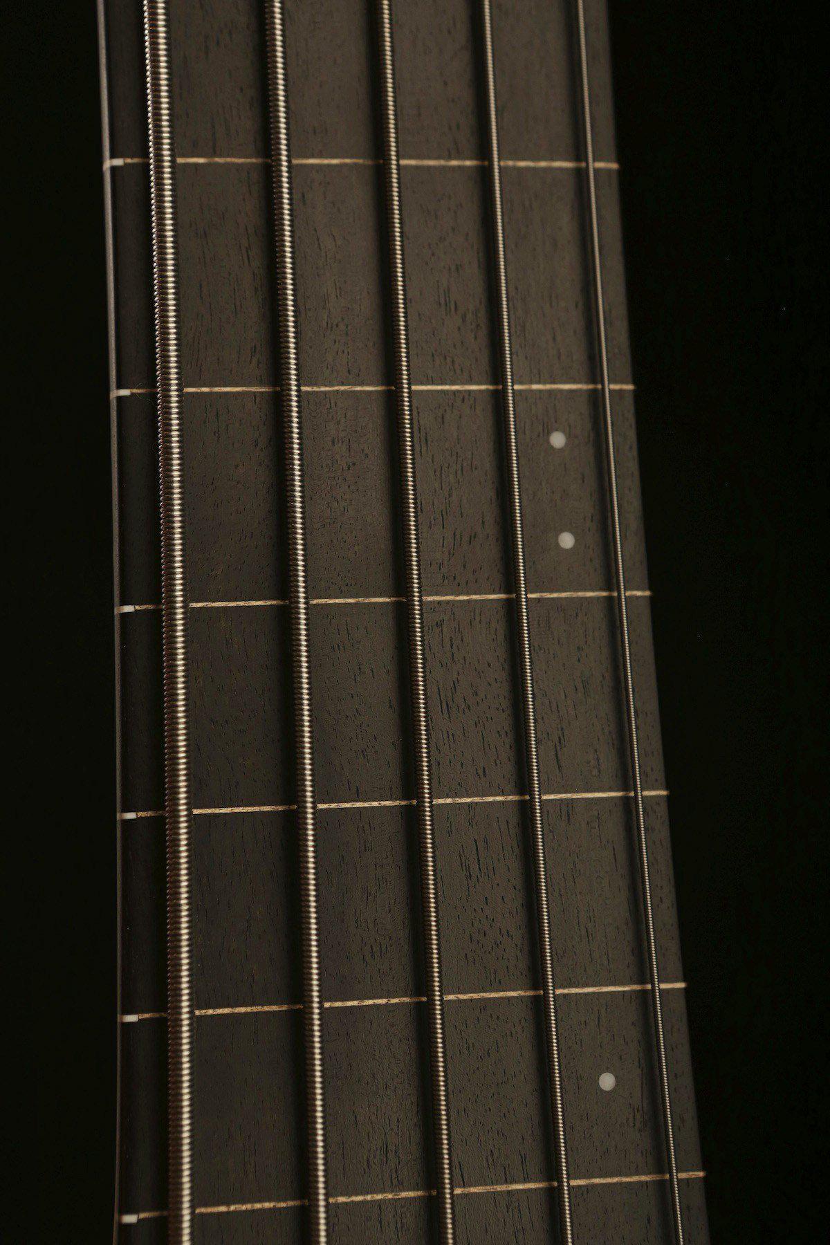 F Bass AC5 Fretless - Bass Centre Music Store Melbourne