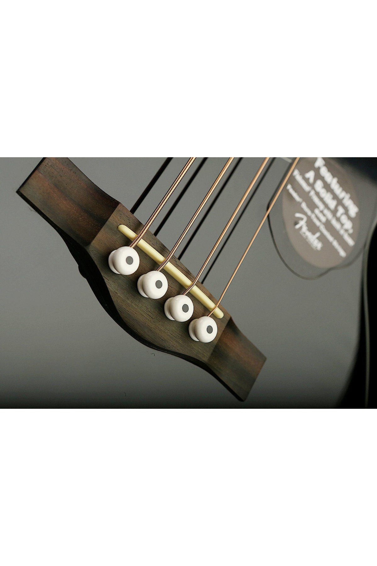 Fender CB60SCE Acoustic Bass - Bass Centre Music Store Melbourne