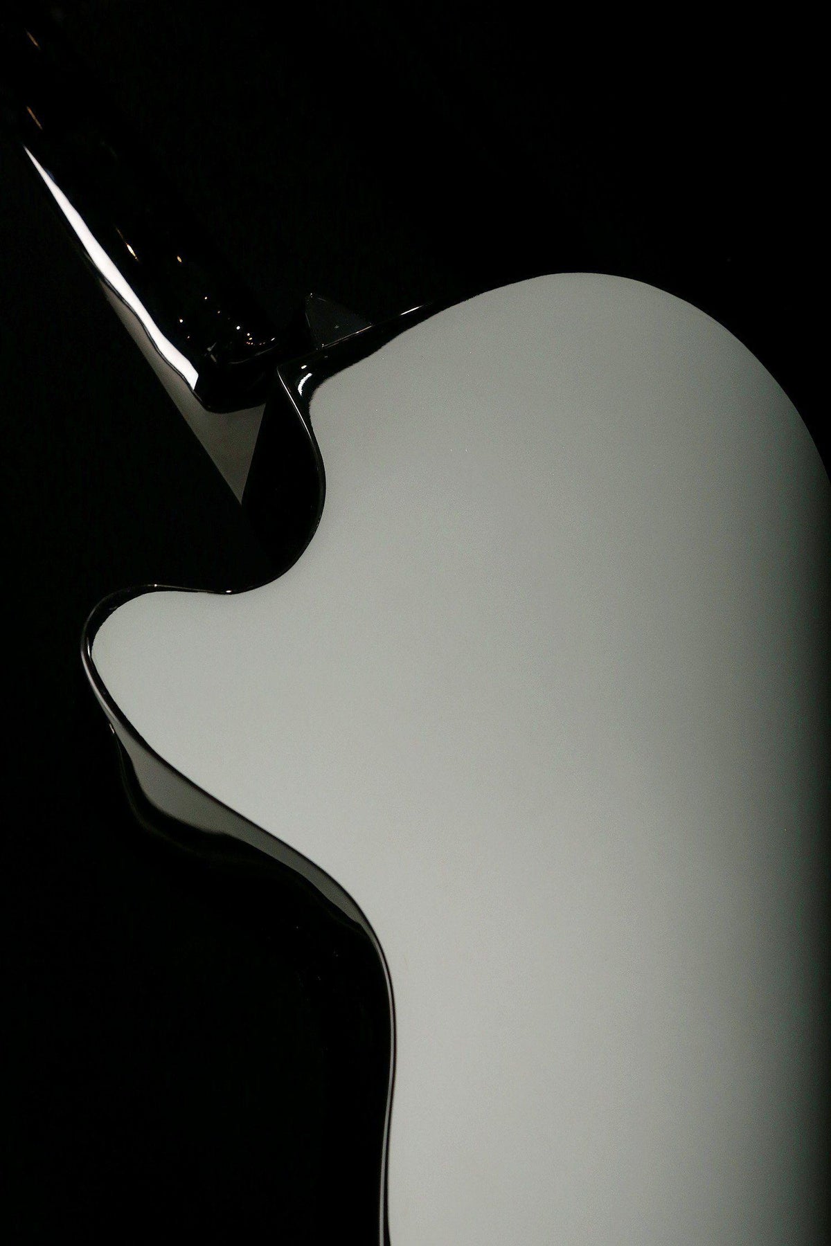 Fender CB60SCE Acoustic Bass - Bass Centre Music Store Melbourne