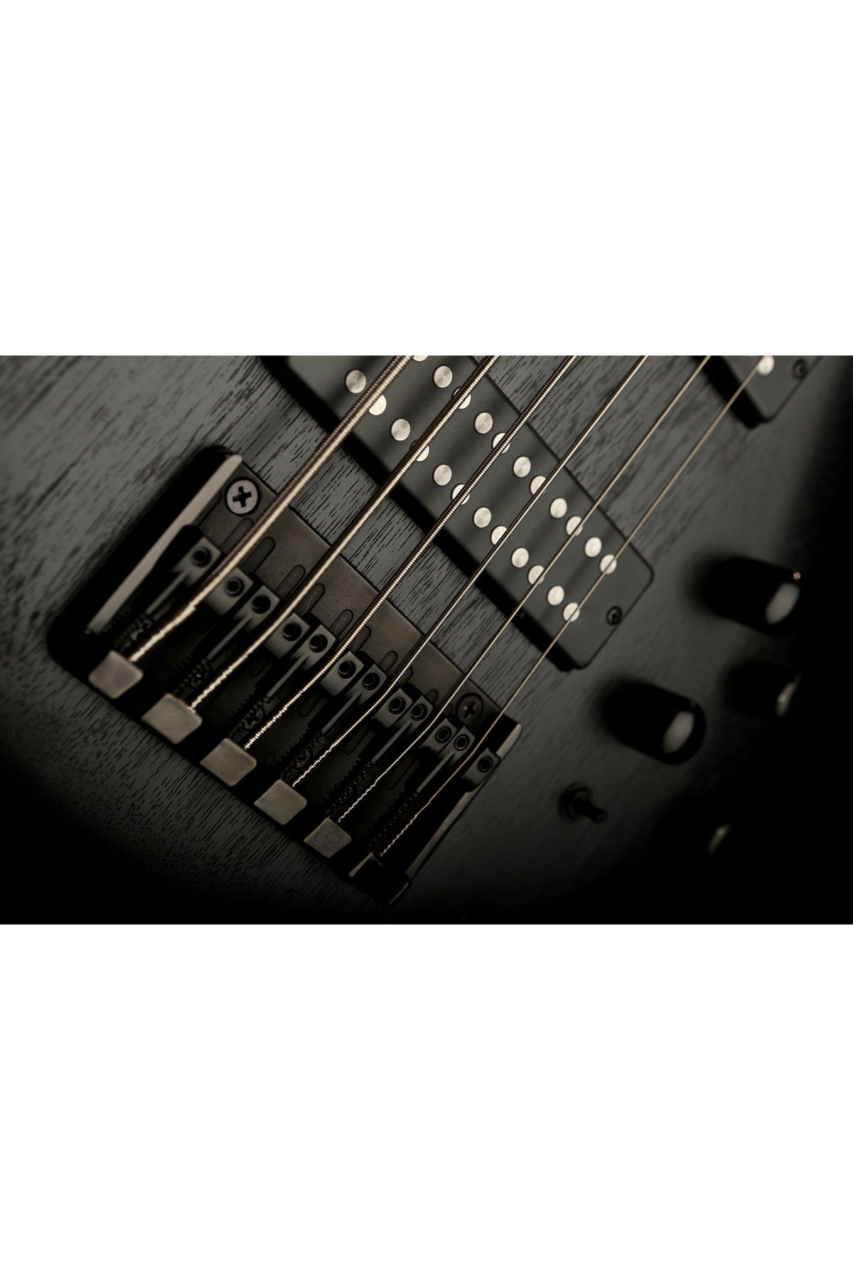 Ibanez Soundgear SR306 EB - Bass Centre Music Store Melbourne