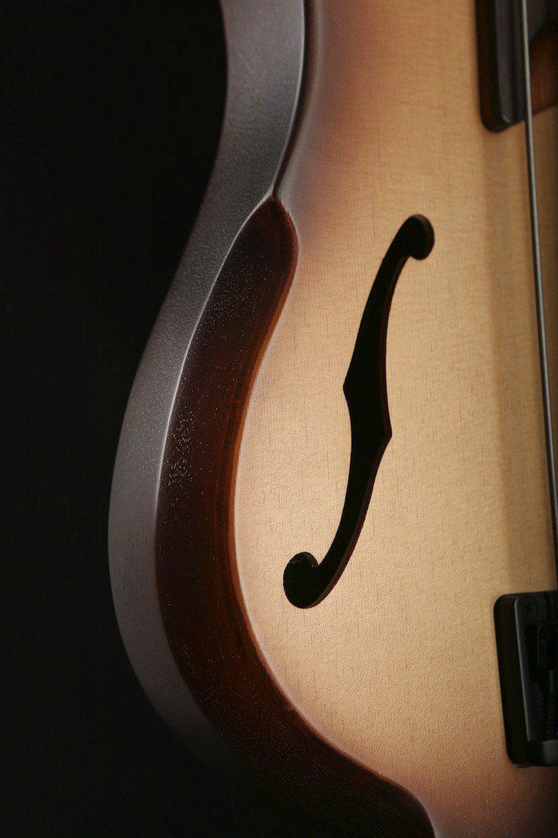 Ibanez SRH500F 4 string hollow body fretless Bass - Bass Centre Music Store Melbourne