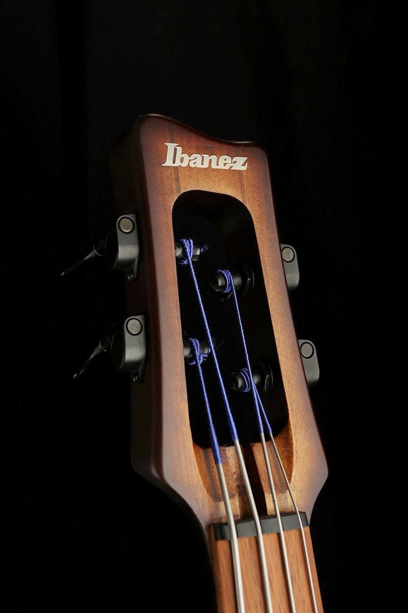 Ibanez UB804 Electric Upright - Bass Centre Music Store Melbourne