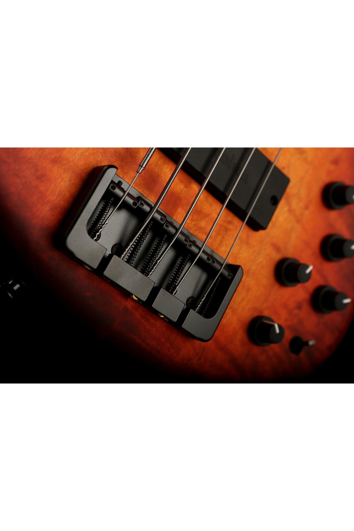 Michael Tobias MTD 535 24 - Bass Centre Music Store Melbourne