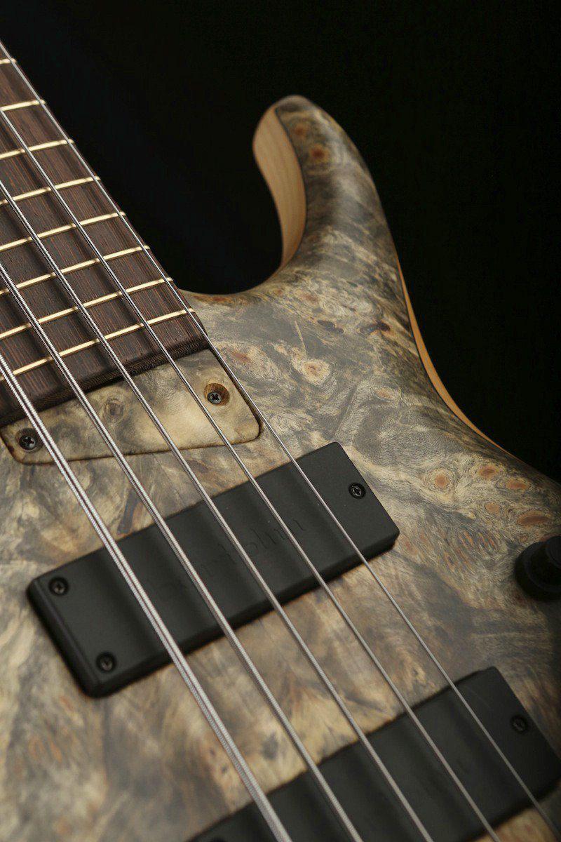 MTD 535 Ash/Buckeye Burl Wenge neck - Bass Centre Music Store Melbourne