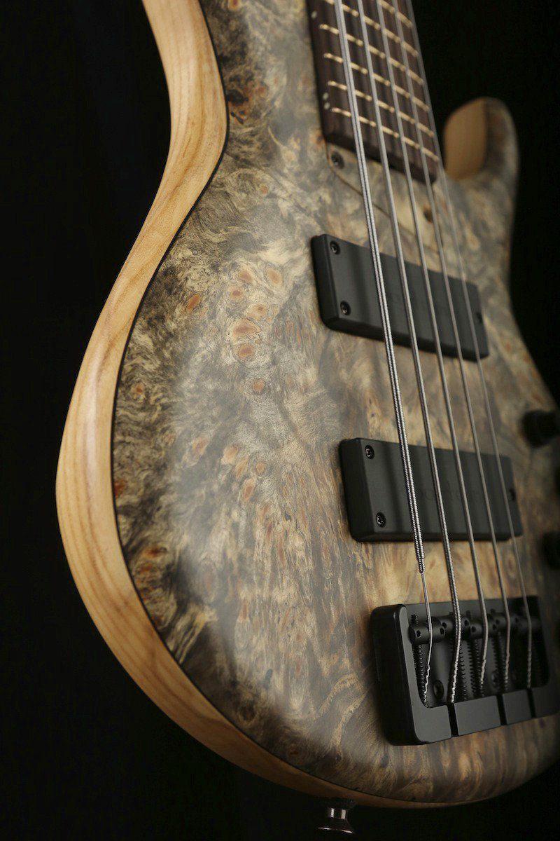 MTD 535 Ash/Buckeye Burl Wenge neck - Bass Centre Music Store Melbourne