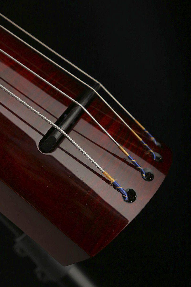 NS WAV 4 Electric Upright - Bass Centre Music Store Melbourne
