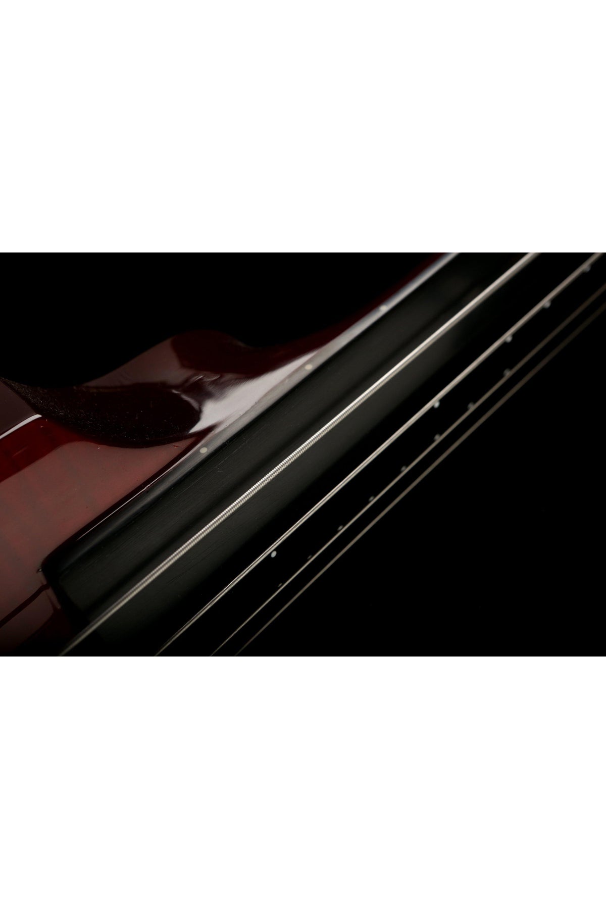 NS WAV 4 Omni Bass - Bass Centre Music Store Melbourne