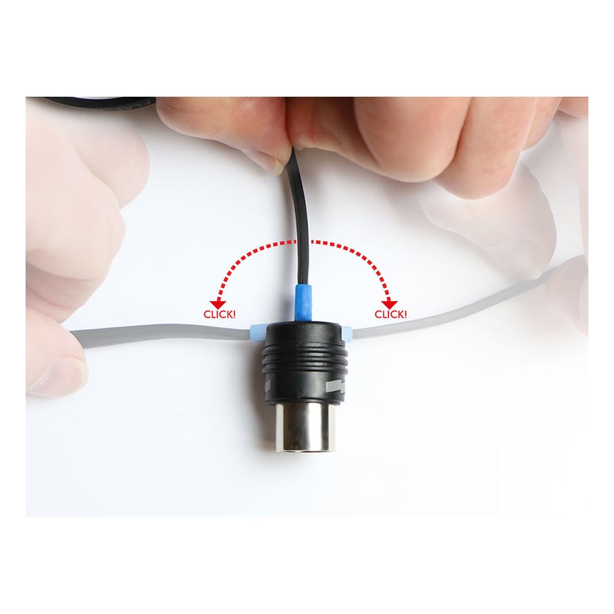 EBS MIDI-180 Blue DOT 180cm - Bass Centre Music Store Melbourne